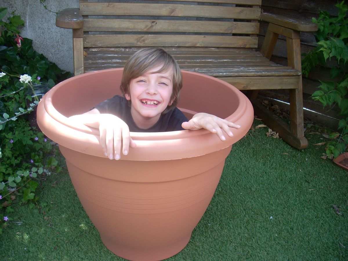Potted Plants 6